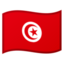 🇹🇳