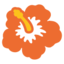 :hibiscus: πΊ