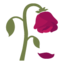 :wilted_flower: π₯